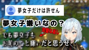 【原神】夢女子を否定する視聴者に完璧すぎる正論パンチをかますねるめろ【ねるめろ切り抜き】