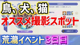 【鳥2種類、犬2種類、猫2種類】オススメ写真撮影場所「荒瀧・生命のロックイリデッセンスビッグツアー」 イベント3日目　背景取材　稲妻　ver4.6攻略　原神