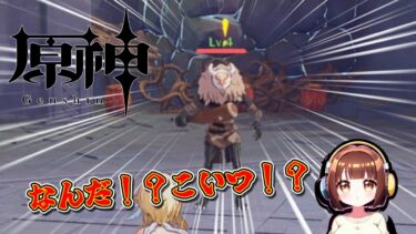 なんだ！？こいつは！？【原神】神秘な世界をまよと旅する！！