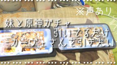 【原神】妹と2人でカーヴェさん目当てでガチャを引いてるだけ　※声あり