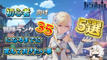 【原神解説】冒険ランク35になるまでに覚えておきたい事　5選！！　#原神