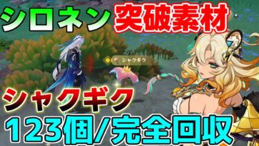 【原神】シロネン突破素材「シャクギク」全123個　効率回収ルート！【攻略解説】5.1アプデ/特産品/育成素材/Brilliant Chrysanthemum