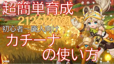 【原神】コスパ最強戦士！カチーナ最新環境編成解説！