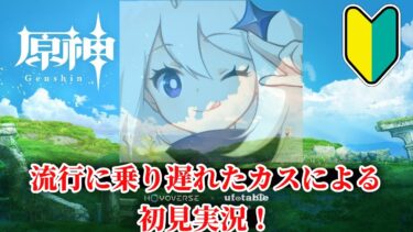 【原神】初見実況 三日目　今まで無免許で飛行してたのかよ、はよ捕まれ　※ネタバレ厳禁　初見さん大歓迎！